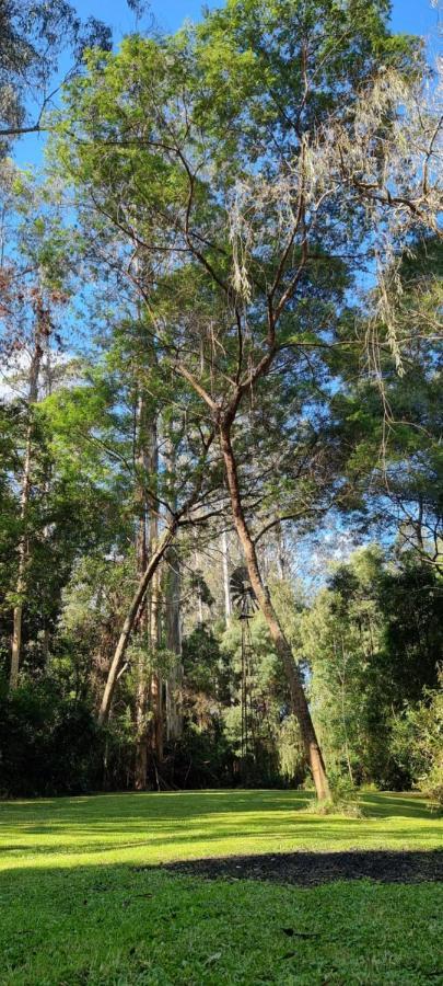 Bird Songs Getaway Accommodation Cabbage Tree Creek Bagian luar foto