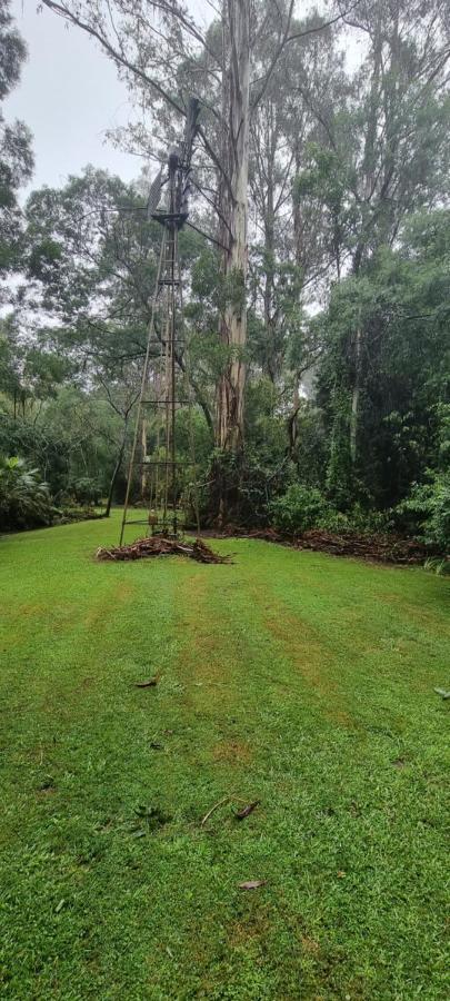 Bird Songs Getaway Accommodation Cabbage Tree Creek Bagian luar foto